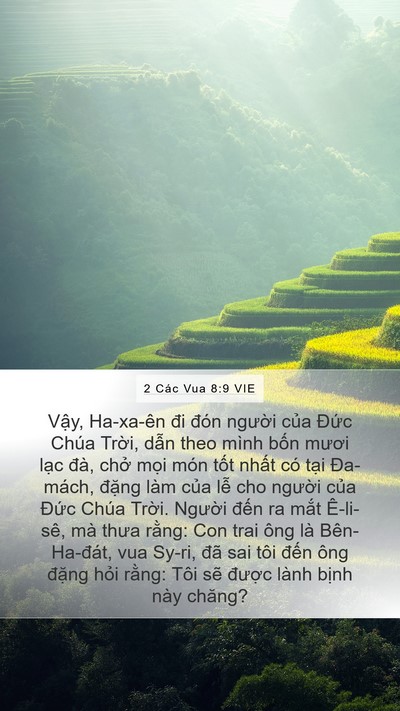 2 Các Vua 8:9 VIE Mobile Phone Wallpaper - Vậy, Ha-xa-ên đi đón người của Đức - Mobile Bible Verse Wallpaper