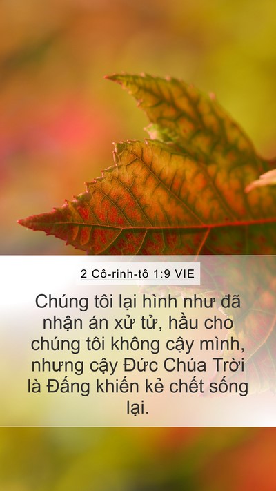 2 Cô-rinh-tô 1:9 VIE Bible Verse Image