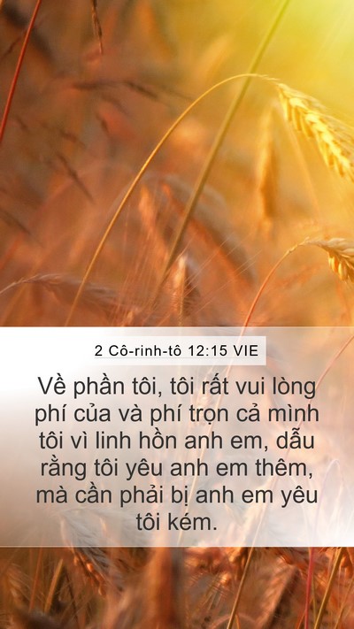 2 Cô-rinh-tô 12:15 VIE Bible Verse Image