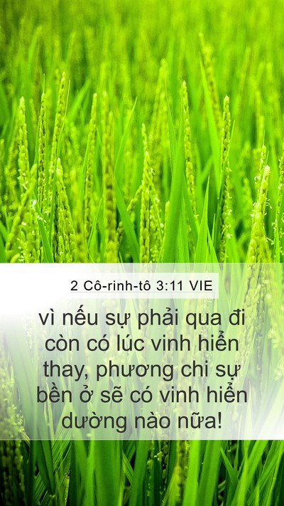 2 Cô-rinh-tô 3:11 VIE Mobile Phone Wallpaper - vì nếu sự phải qua đi còn có lúc vinh - Mobile Bible Verse Wallpaper