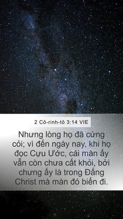 2 Cô-rinh-tô 3:14 VIE Bible Verse Image