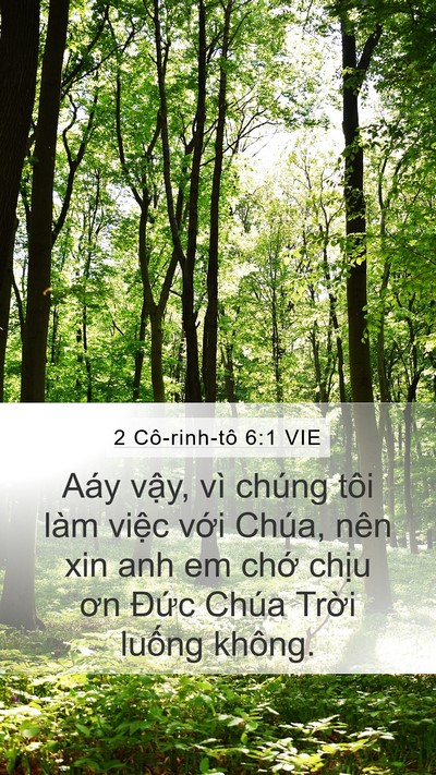 2 Cô-rinh-tô 6:1 VIE Bible Verse Image