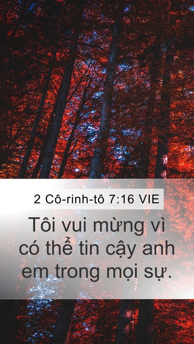 2 Cô-rinh-tô 7:16 VIE Mobile Phone Wallpaper - Tôi vui mừng vì có thể tin cậy anh em - Mobile Bible Verse Wallpaper