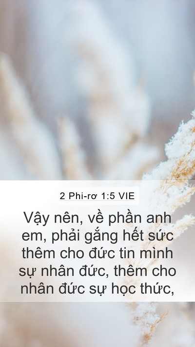 2 Phi-rơ 1:5 VIE Bible Verse Image