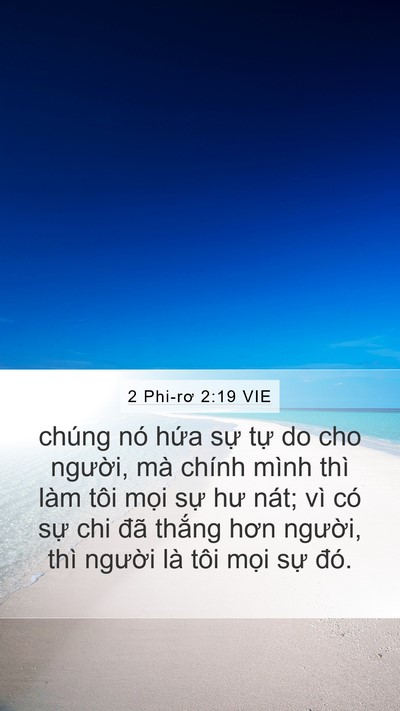 2 Phi-rơ 2:19 VIE Mobile Phone Wallpaper - chúng nó hứa sự tự do cho người, mà - Mobile Bible Verse Wallpaper