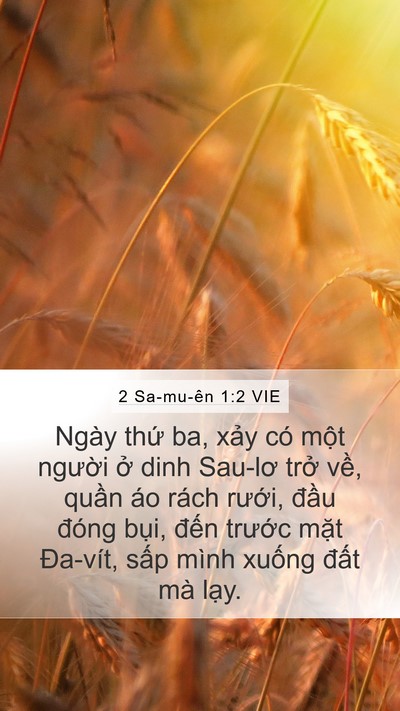 2 Sa-mu-ên 1:2 VIE Bible Verse Image