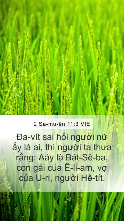 2 Sa-mu-ên 11:3 VIE Mobile Phone Wallpaper - Đa-vít sai hỏi người nữ ấy là ai, - Mobile Bible Verse Wallpaper