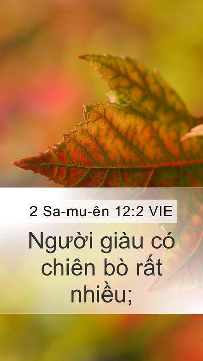 2 Sa-mu-ên 12:2 VIE Mobile Phone Wallpaper - Người giàu có chiên bò rất - Mobile Bible Verse Wallpaper