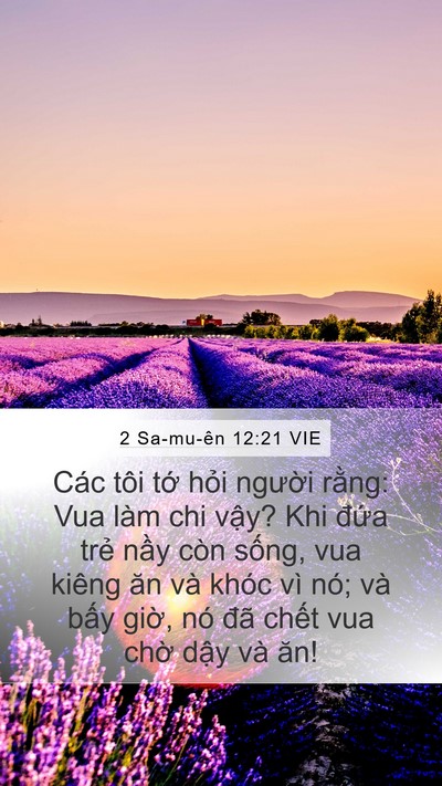 2 Sa-mu-ên 12:21 VIE Mobile Phone Wallpaper - Các tôi tớ hỏi người rằng: Vua làm - Mobile Bible Verse Wallpaper