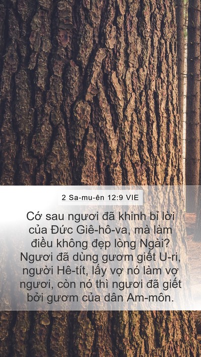 2 Sa-mu-ên 12:9 VIE Bible Verse Image