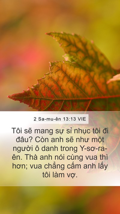 2 Sa-mu-ên 13:13 VIE Mobile Phone Wallpaper - Tôi sẽ mang sự sỉ nhục tôi đi đâu? - Mobile Bible Verse Wallpaper
