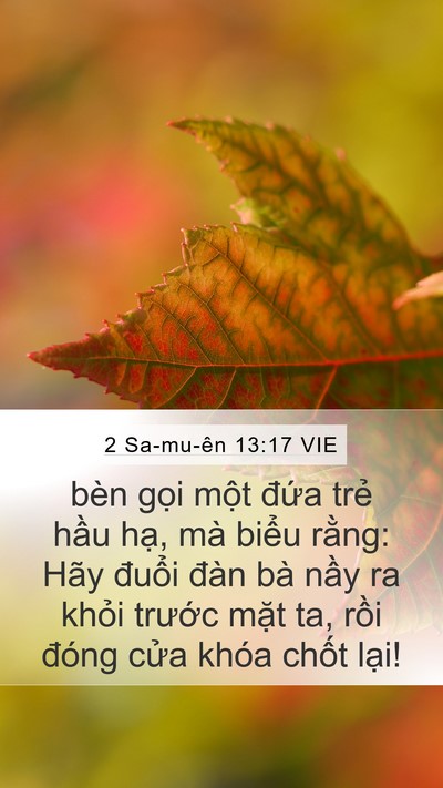 2 Sa-mu-ên 13:17 VIE Mobile Phone Wallpaper - bèn gọi một đứa trẻ hầu hạ, mà - Mobile Bible Verse Wallpaper