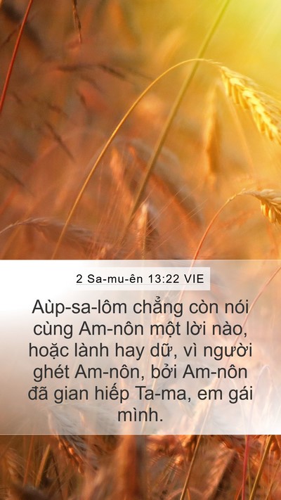 2 Sa-mu-ên 13:22 VIE Bible Verse Image