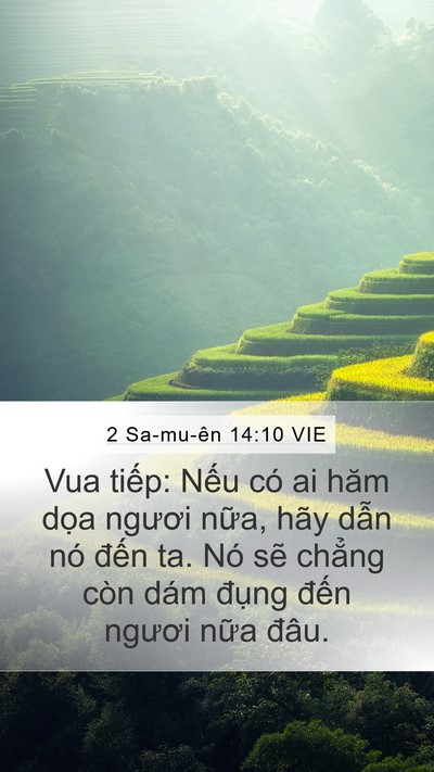 2 Sa-mu-ên 14:10 VIE Bible Verse Image