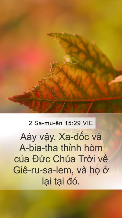 2 Sa-mu-ên 15:29 VIE Bible Verse Image
