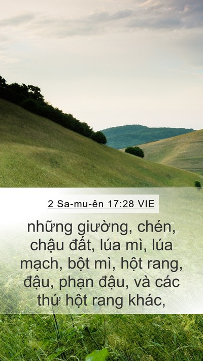 2 Sa-mu-ên 17:28 VIE Bible Verse Image