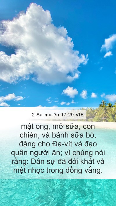 2 Sa-mu-ên 17:29 VIE Bible Verse Image