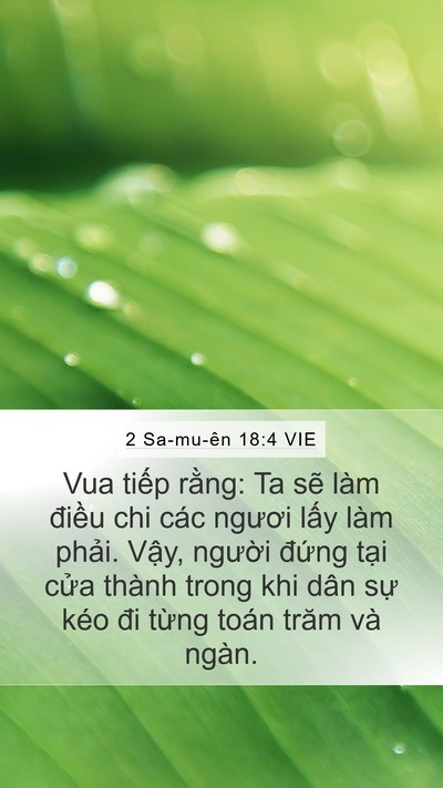 2 Sa-mu-ên 18:4 VIE Mobile Phone Wallpaper - Vua tiếp rằng: Ta sẽ làm điều chi các - Mobile Bible Verse Wallpaper