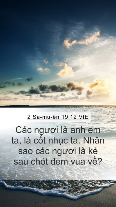 2 Sa-mu-ên 19:12 VIE Bible Verse Image