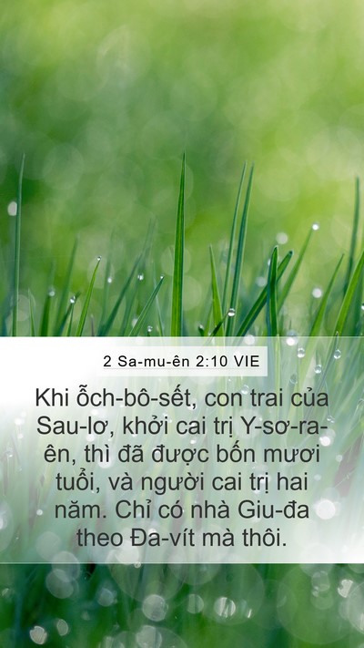 2 Sa-mu-ên 2:10 VIE Mobile Phone Wallpaper - Khi ỗch-bô-sết, con trai của Sau-lơ, - Mobile Bible Verse Wallpaper