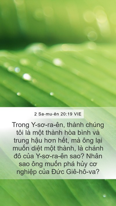 2 Sa-mu-ên 20:19 VIE Bible Verse Image
