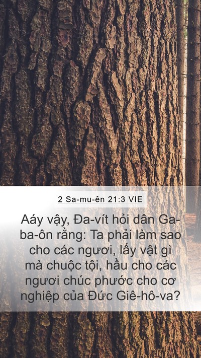 2 Sa-mu-ên 21:3 VIE Mobile Phone Wallpaper - Aáy vậy, Đa-vít hỏi dân Ga-ba-ôn rằng: - Mobile Bible Verse Wallpaper
