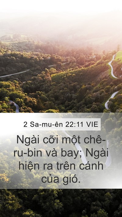 2 Sa-mu-ên 22:11 VIE Bible Verse Image