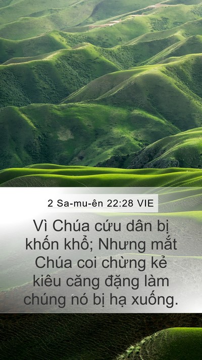 2 Sa-mu-ên 22:28 VIE Mobile Phone Wallpaper - Vì Chúa cứu dân bị khốn khổ; Nhưng - Mobile Bible Verse Wallpaper