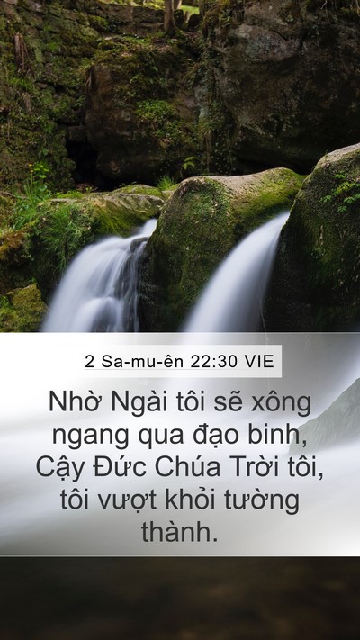 2 Sa-mu-ên 22:30 VIE Bible Verse Image