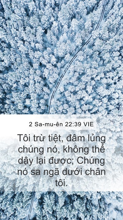 2 Sa-mu-ên 22:39 VIE Bible Verse Image