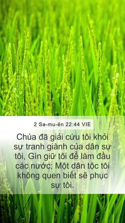 2 Sa-mu-ên 22:44 VIE Bible Verse Image
