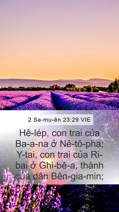 2 Sa-mu-ên 23:29 VIE Mobile Phone Wallpaper - Hê-lép, con trai của Ba-a-na ở Nê-tô-pha; - Mobile Bible Verse Wallpaper