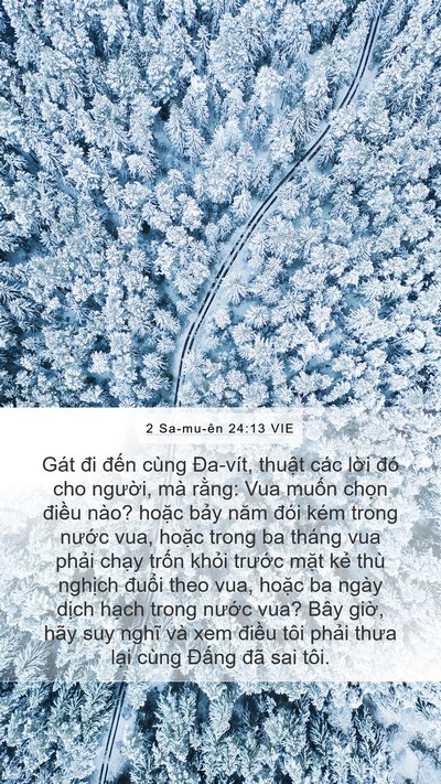 2 Sa-mu-ên 24:13 VIE Mobile Phone Wallpaper - Gát đi đến cùng Đa-vít, thuật các - Mobile Bible Verse Wallpaper