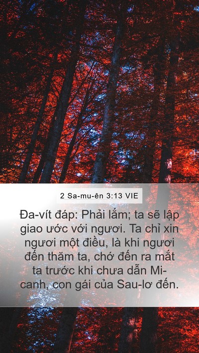2 Sa-mu-ên 3:13 VIE Mobile Phone Wallpaper - Đa-vít đáp: Phải lắm; ta sẽ lập giao - Mobile Bible Verse Wallpaper