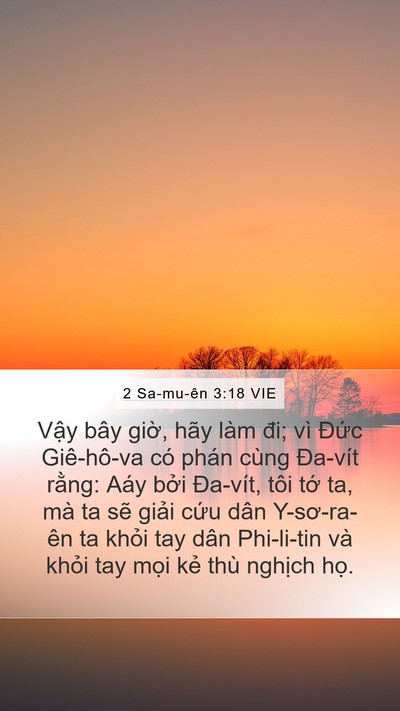 2 Sa-mu-ên 3:18 VIE Bible Verse Image