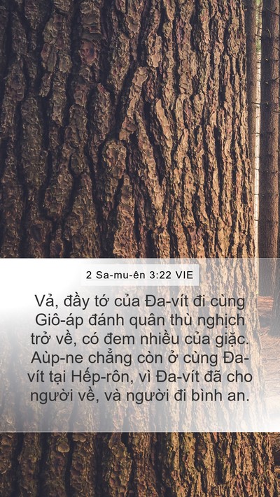 2 Sa-mu-ên 3:22 VIE Bible Verse Image