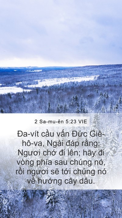 2 Sa-mu-ên 5:23 VIE Bible Verse Image
