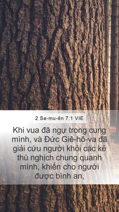 2 Sa-mu-ên 7:1 VIE Bible Verse Image