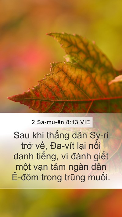 2 Sa-mu-ên 8:13 VIE Bible Verse Image