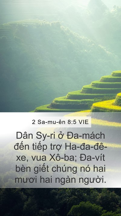 2 Sa-mu-ên 8:5 VIE Mobile Phone Wallpaper - Dân Sy-ri ở Đa-mách đến tiếp trợ - Mobile Bible Verse Wallpaper