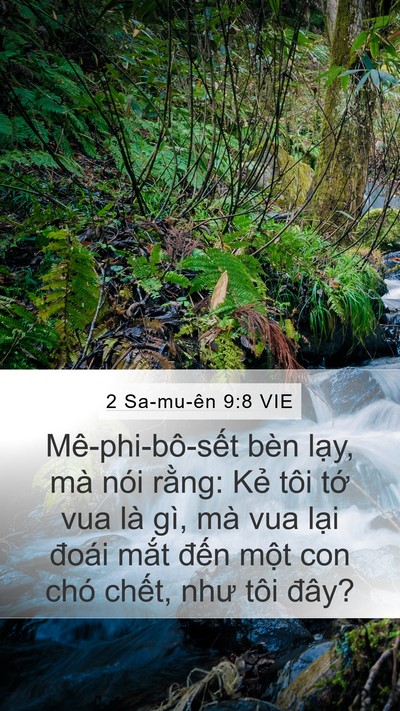 2 Sa-mu-ên 9:8 VIE Bible Verse Image