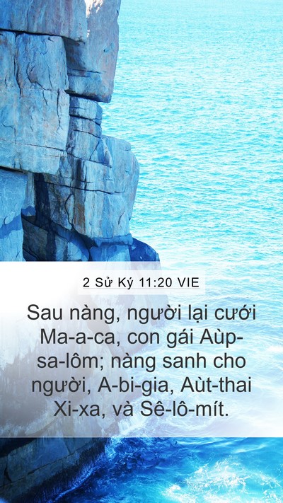 2 Sử Ký 11:20 VIE Bible Verse Image