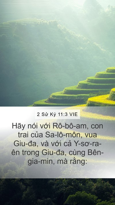 2 Sử Ký 11:3 VIE Mobile Phone Wallpaper - Hãy nói với Rô-bô-am, con trai của - Mobile Bible Verse Wallpaper