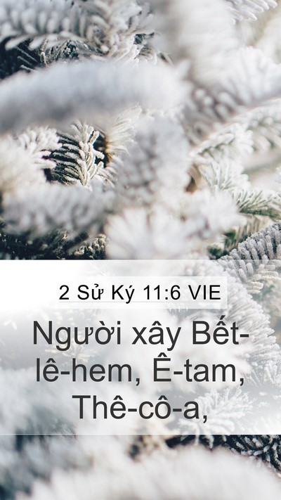 2 Sử Ký 11:6 VIE Bible Verse Image