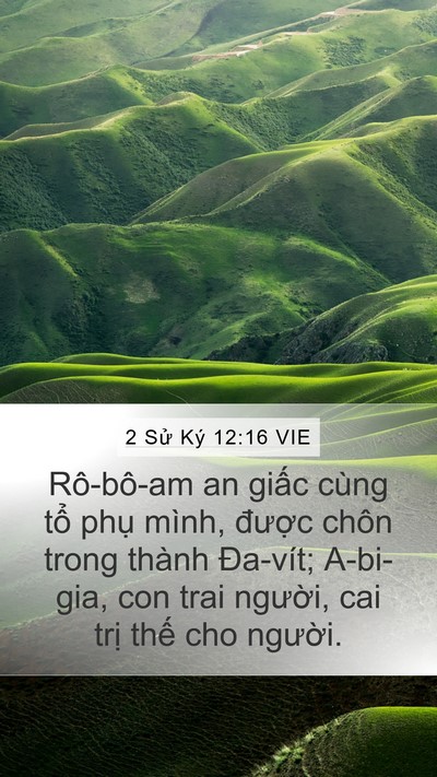 2 Sử Ký 12:16 VIE Bible Verse Image
