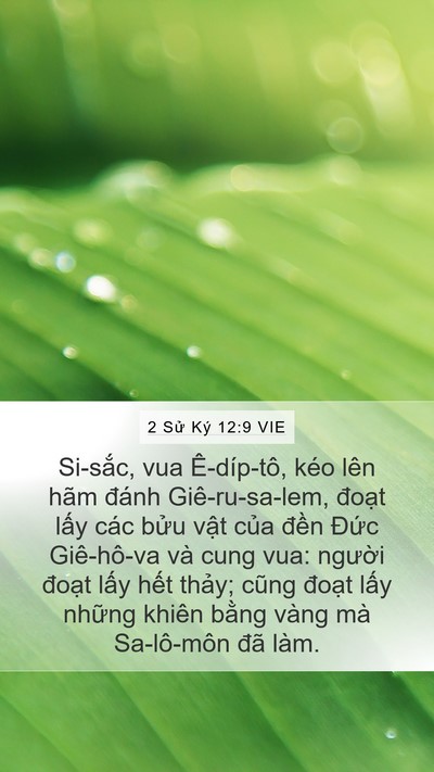 2 Sử Ký 12:9 VIE Bible Verse Image