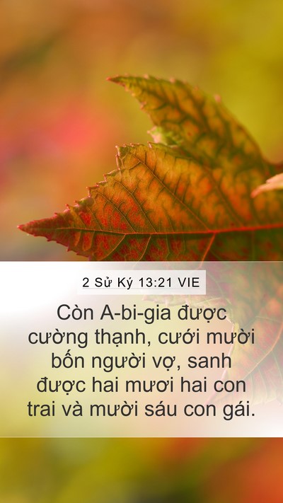 2 Sử Ký 13:21 VIE Bible Verse Image
