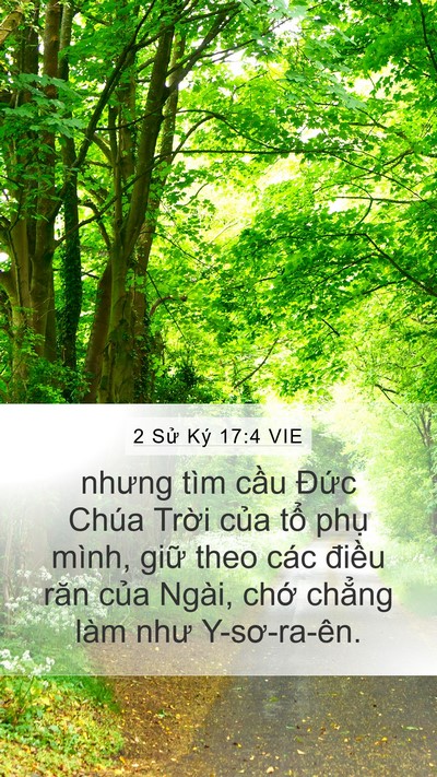 2 Sử Ký 17:4 VIE Mobile Phone Wallpaper - nhưng tìm cầu Đức Chúa Trời của tổ - Mobile Bible Verse Wallpaper