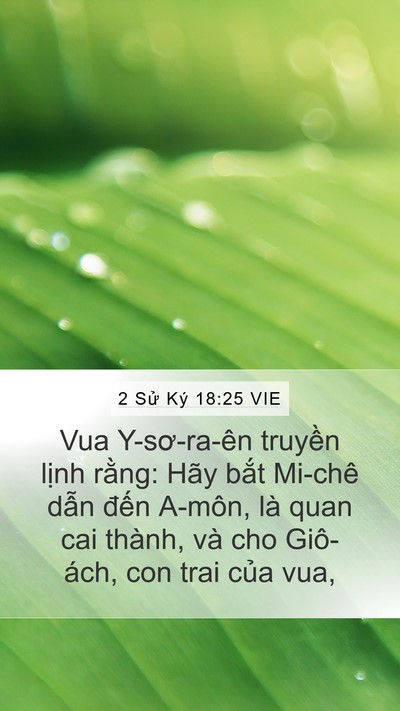 2 Sử Ký 18:25 VIE Mobile Phone Wallpaper - Vua Y-sơ-ra-ên truyền lịnh rằng: Hãy - Mobile Bible Verse Wallpaper
