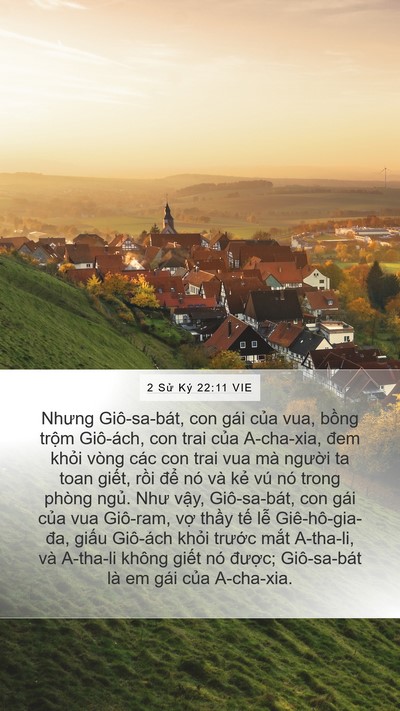 2 Sử Ký 22:11 VIE Bible Verse Image